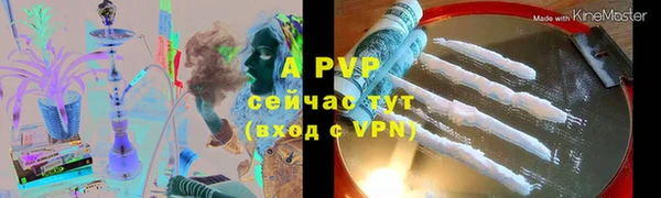 ECSTASY Новозыбков